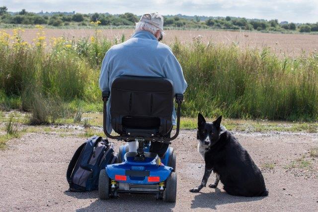 A person in a motorized wheelchair accompanied by a black dog at a rural roadside. Scooter Advice 360