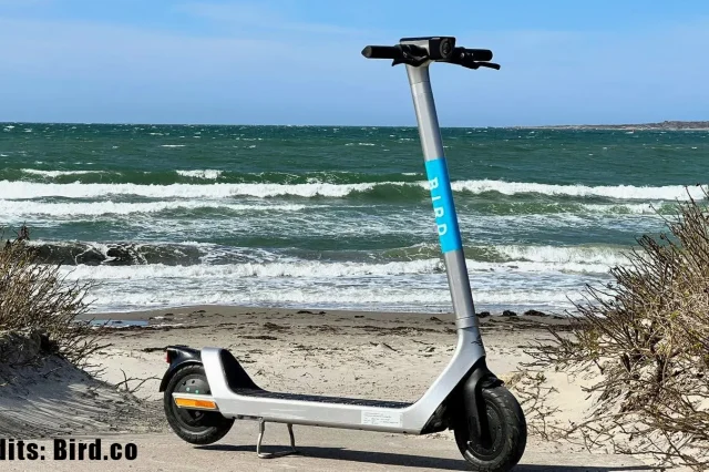how to use bird scooter - Supporting Image 1